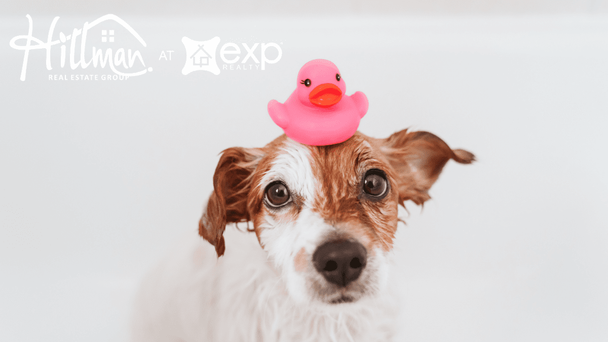 Hillman Real Estate Group's Tips for Homeowners: Duke Energy Heat Pump Water Heater Rebate