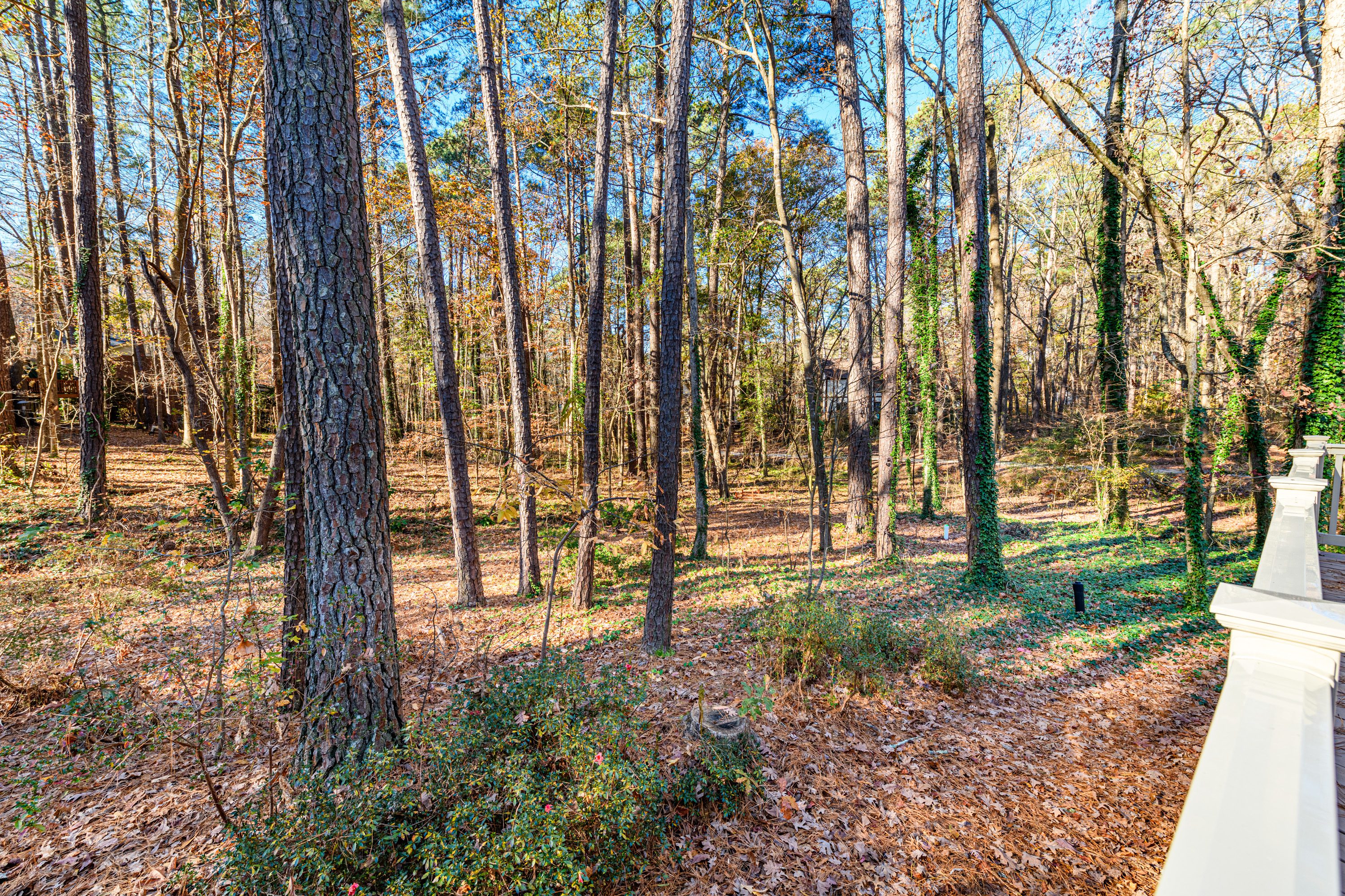 221 Brendan Choice Cary NC 27511 - Hillman Real Estate Group at eXp Realty