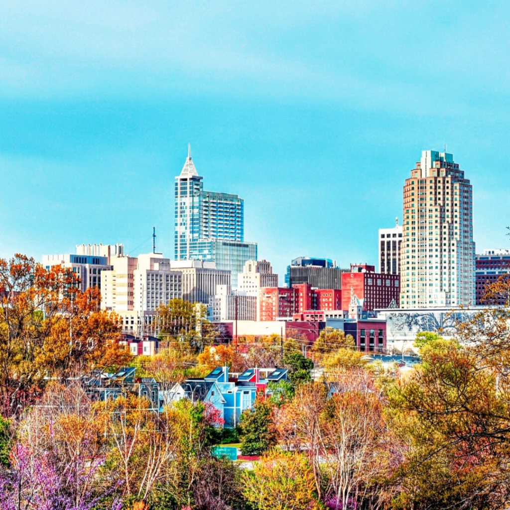 Downtown Raleigh Canva