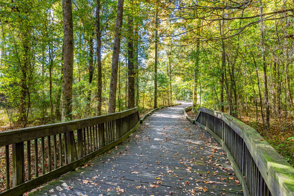 1744 Longmont Drive Wake Forest NC 27587 - Hillman Real Estate Group at eXp Realty