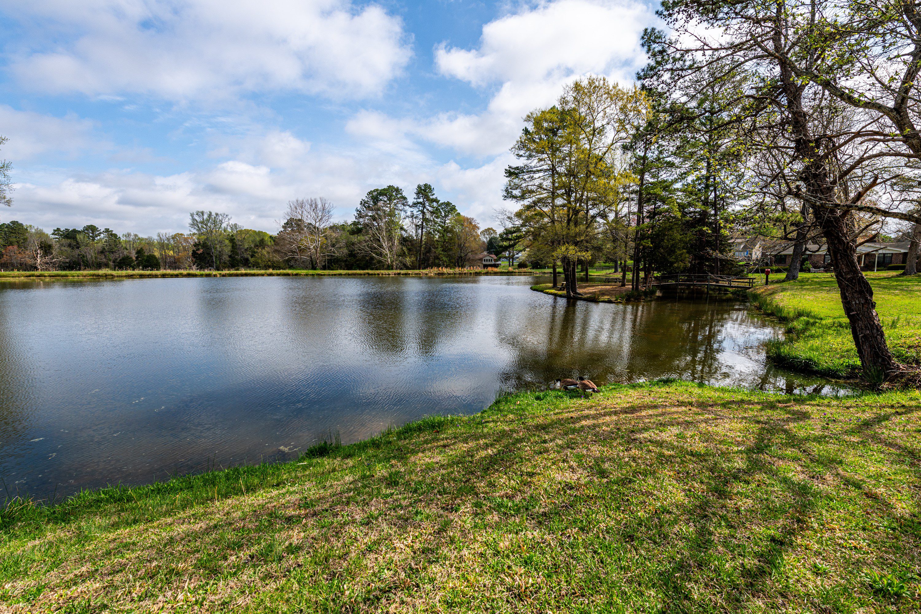 229 Tracy Trail Durham NC 27712 - Hillman Real Estate Group at eXp Realty