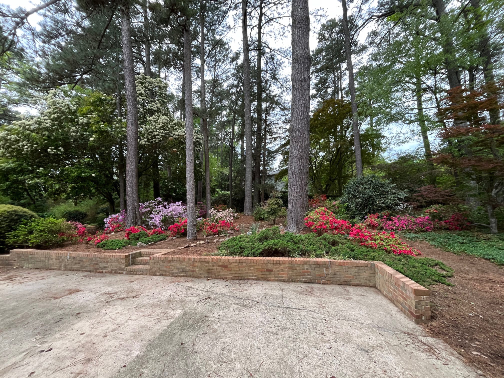 1604 Westbridge Court Raleigh NC 27606 - Hillman Real Estate Group at eXp Realty