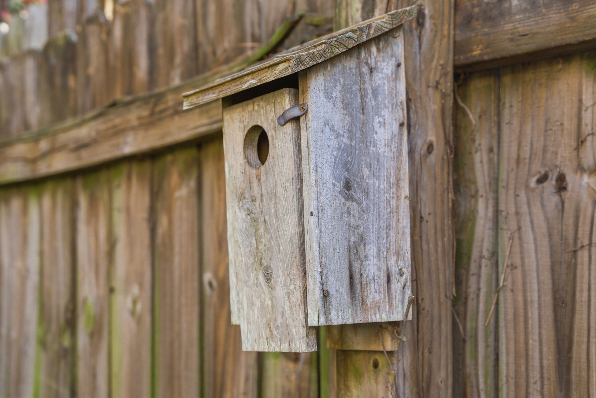 Hillman Real Estate Group at eXp Realty - 4015 Chinese Fir Trail