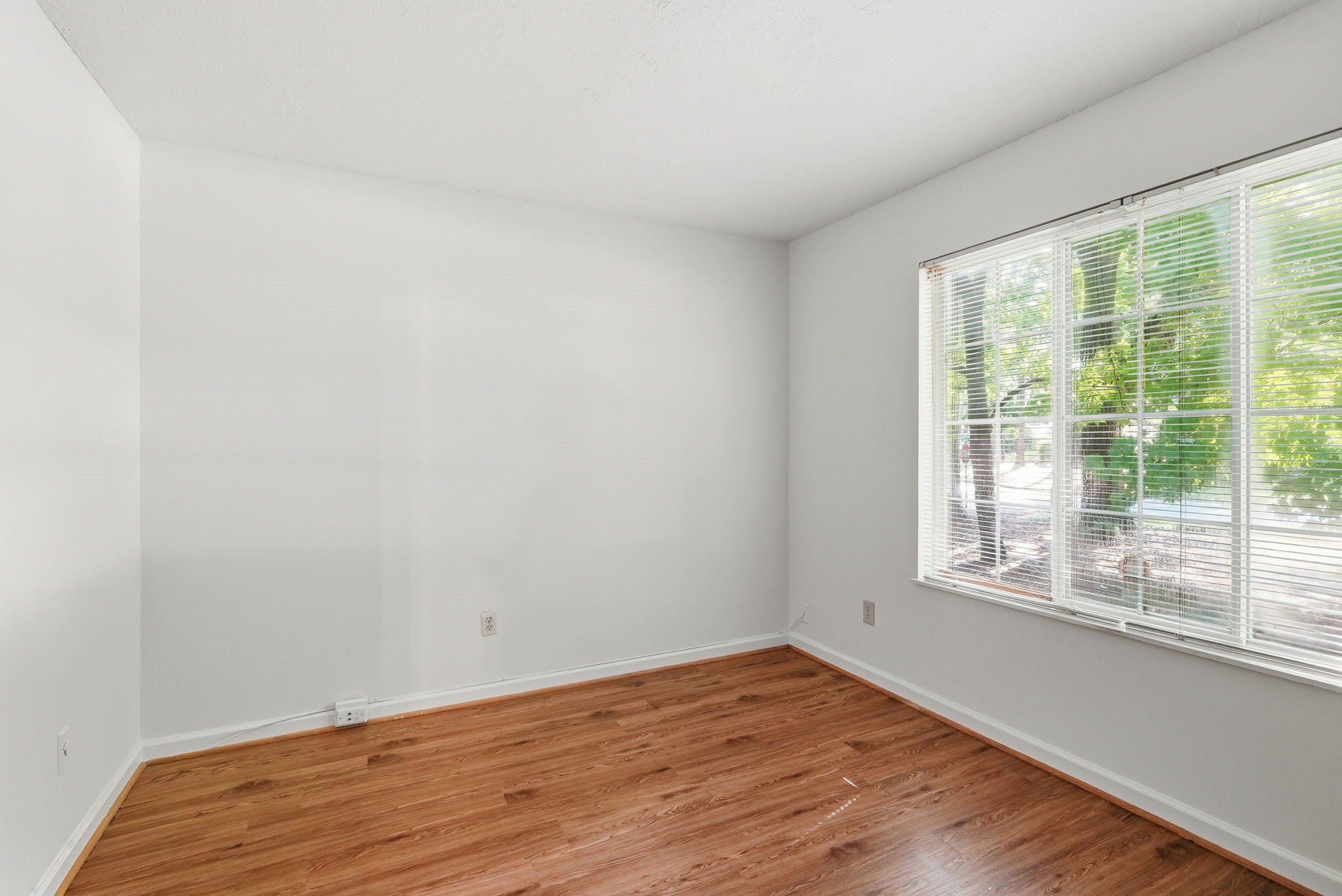 202 Indigo Drive, Cary, NC - Hillman Real Estate Group at eXp Realty