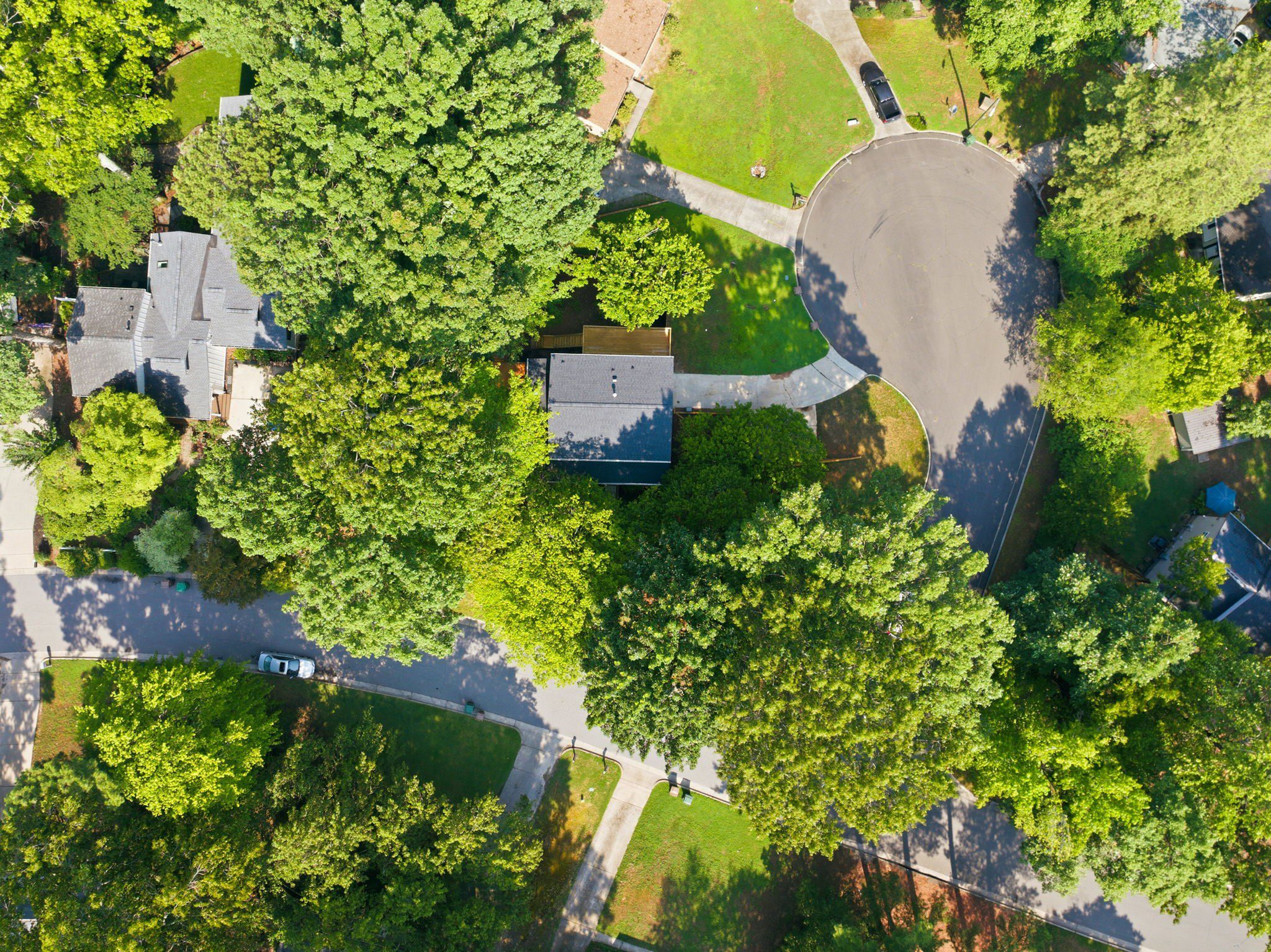 202 Indigo Drive, Cary, NC - Hillman Real Estate Group at eXp Realty