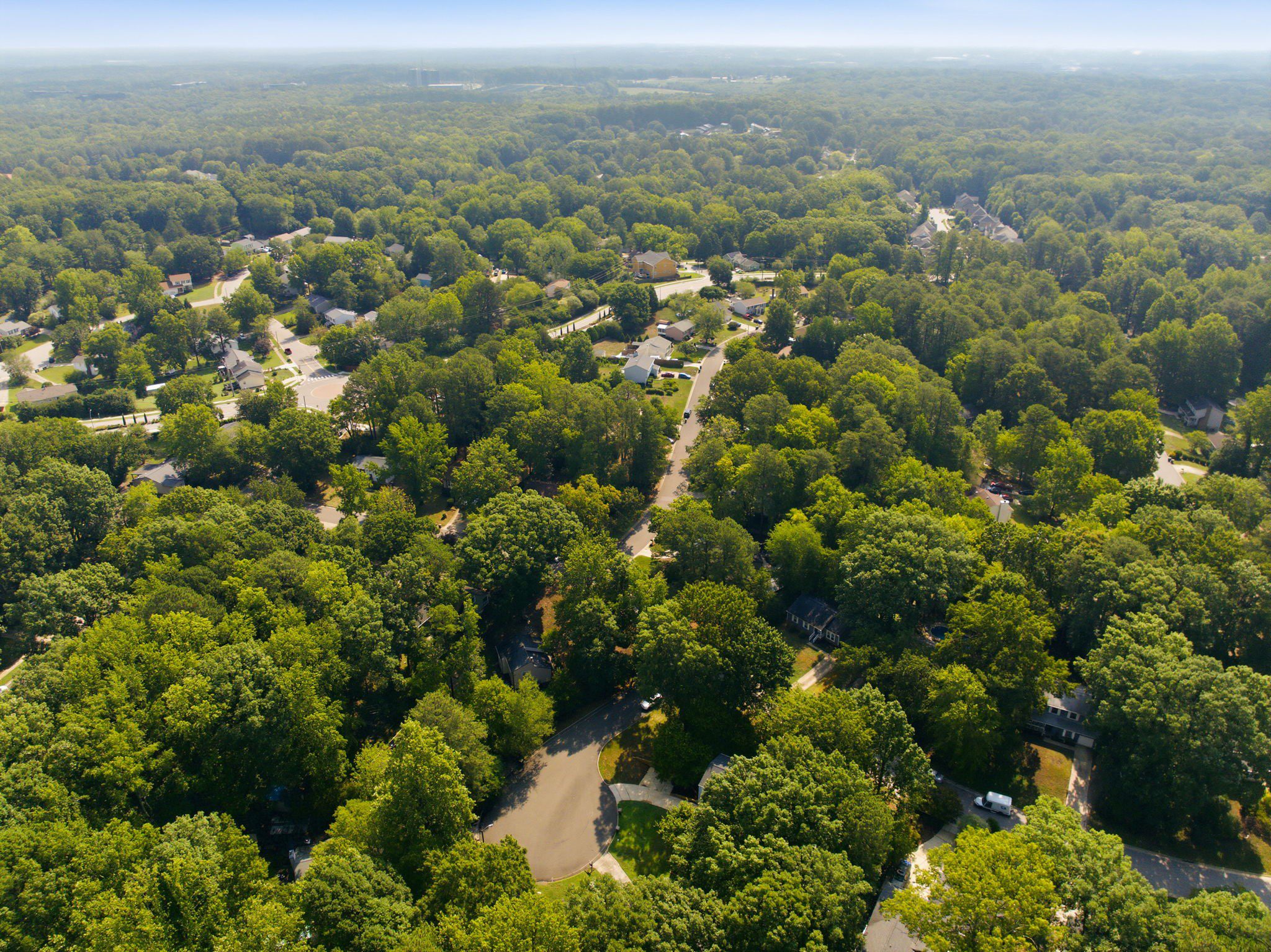 202 Indigo Drive, Cary, NC - Hillman Real Estate Group at eXp Realty