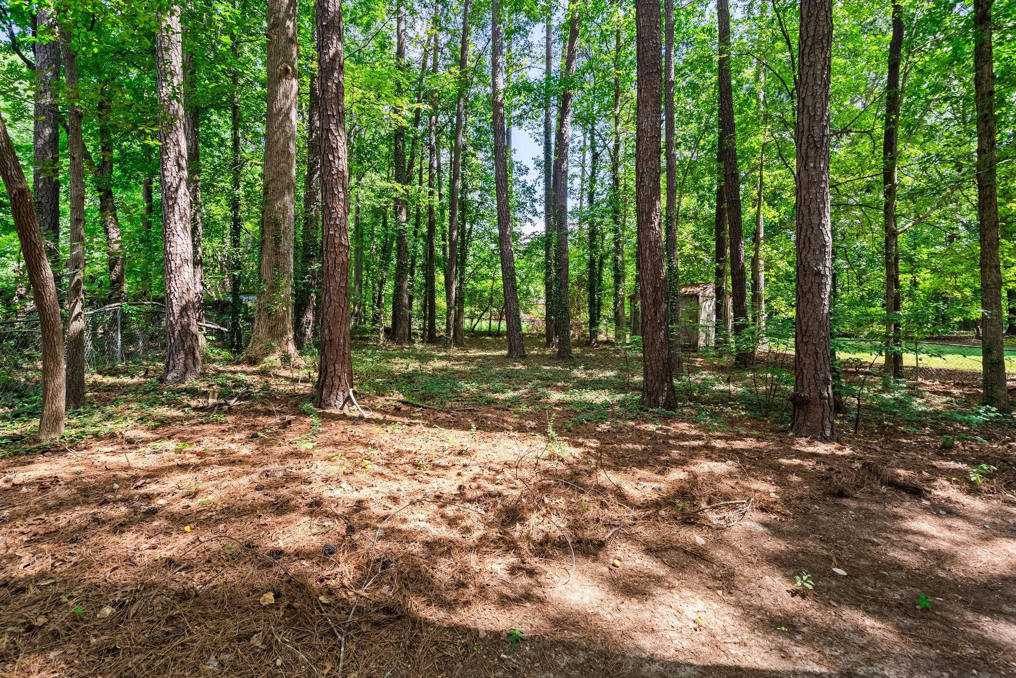 2205 Mariner Cir Raleigh NC 27603 - Hillman Real Estate Group at eXp Realty 